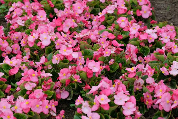 Les avantages d'opter pour un bloc wc suspendu dans votre salle de bain