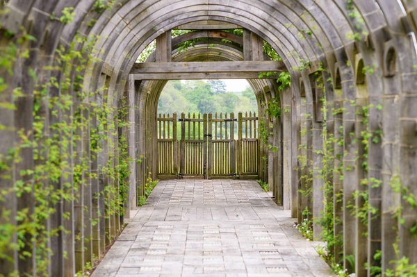 Tunnel de forçage : conseil d'achat pour votre serre de jardin